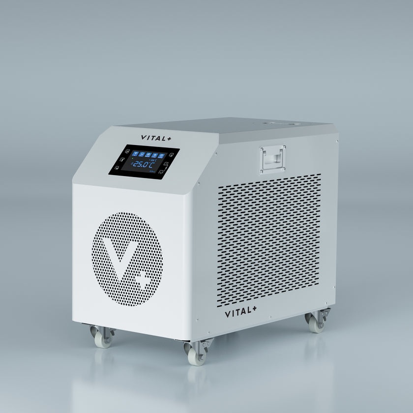 Vital+ celeb highlight